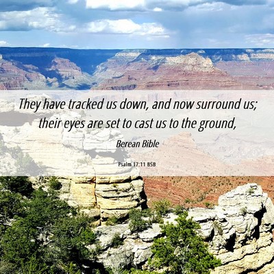 Picture 06 - Psalm 17:11 BSB - They have tracked us down, and now surround us; - Bible Verse Picture
