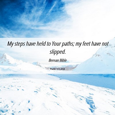 Picture 06 - Psalm 17:5 BSB - My steps have held to Your paths; my feet have - Bible Verse Picture