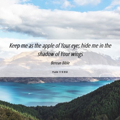 Picture 06 - Psalm 17:8 BSB - Keep me as the apple of Your eye; hide me in the - Bible Verse Picture