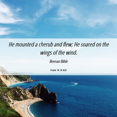 Picture 06 - Psalm 18:10 BSB - He mounted a cherub and flew; He soared on the - Bible Verse Picture