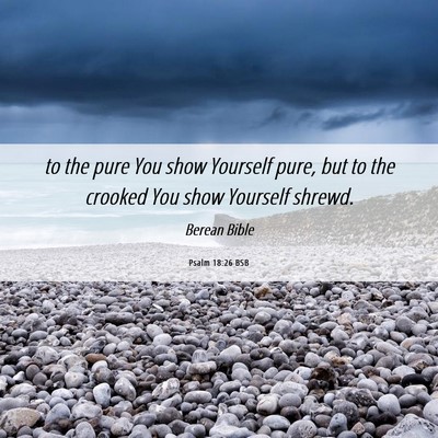 Picture 06 - Psalm 18:26 BSB - to the pure You show Yourself pure, but to the - Bible Verse Picture