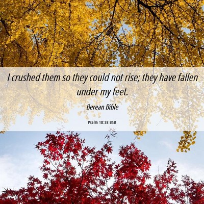 Picture 06 - Psalm 18:38 BSB - I crushed them so they could not rise; they have - Bible Verse Picture