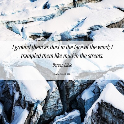Picture 06 - Psalm 18:42 BSB - I ground them as dust in the face of the wind; I - Bible Verse Picture