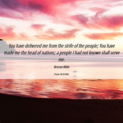 Picture 06 - Psalm 18:43 BSB - You have delivered me from the strife of the - Bible Verse Picture