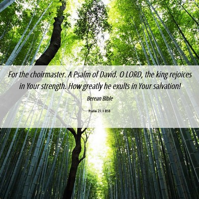 Picture 06 - Psalm 21:1 BSB - For the choirmaster. A Psalm of David. O LORD, - Bible Verse Picture