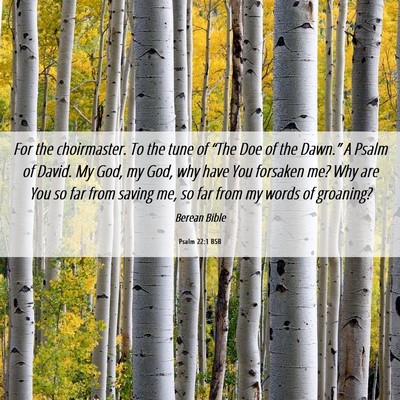 Picture 06 - Psalm 22:1 BSB - For the choirmaster. To the tune of “The Doe of - Bible Verse Picture