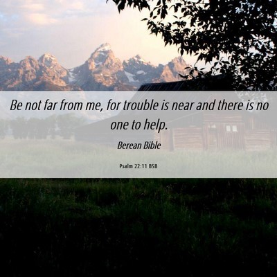 Picture 06 - Psalm 22:11 BSB - Be not far from me, for trouble is near and there - Bible Verse Picture