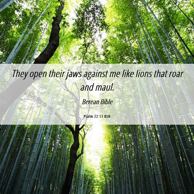 Picture 06 - Psalm 22:13 BSB - They open their jaws against me like lions that - Bible Verse Picture