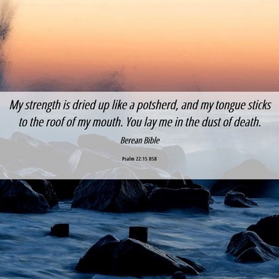 Picture 06 - Psalm 22:15 BSB - My strength is dried up like a potsherd, and my - Bible Verse Picture