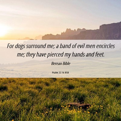 Picture 06 - Psalm 22:16 BSB - For dogs surround me; a band of evil men - Bible Verse Picture