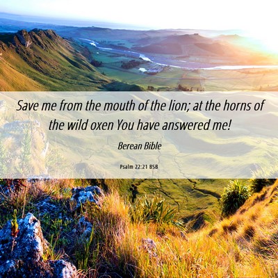 Picture 06 - Psalm 22:21 BSB - Save me from the mouth of the lion; at the horns - Bible Verse Picture