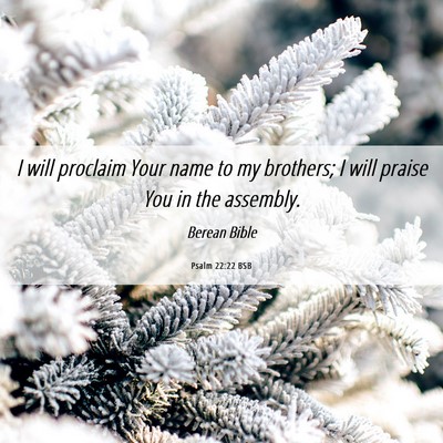 Picture 06 - Psalm 22:22 BSB - I will proclaim Your name to my brothers; I will - Bible Verse Picture