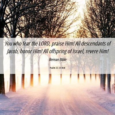 Picture 06 - Psalm 22:23 BSB - You who fear the LORD, praise Him! All - Bible Verse Picture