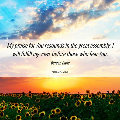 Picture 06 - Psalm 22:25 BSB - My praise for You resounds in the great assembly; - Bible Verse Picture