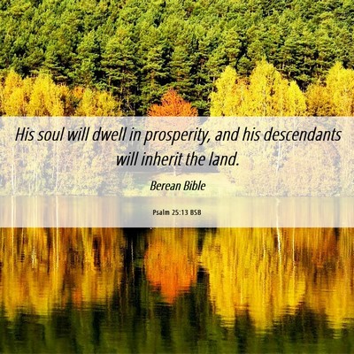 Picture 06 - Psalm 25:13 BSB - His soul will dwell in prosperity, and his - Bible Verse Picture