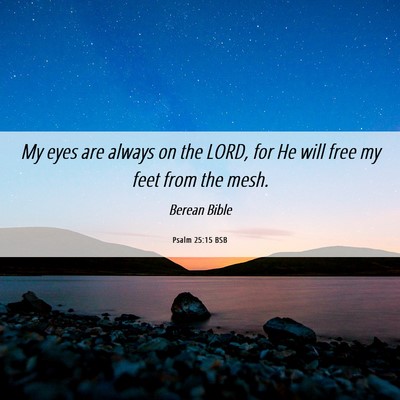 Picture 06 - Psalm 25:15 BSB - My eyes are always on the LORD, for He will free - Bible Verse Picture