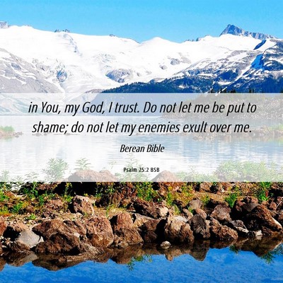 Picture 06 - Psalm 25:2 BSB - in You, my God, I trust. Do not let me be put to - Bible Verse Picture