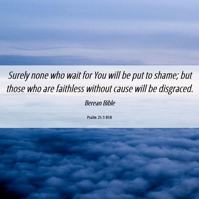 Picture 06 - Psalm 25:3 BSB - Surely none who wait for You will be put to - Bible Verse Picture