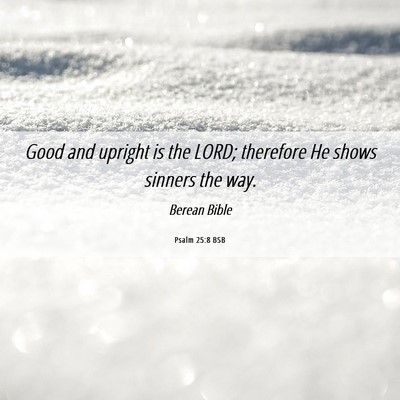 Picture 06 - Psalm 25:8 BSB - Good and upright is the LORD; therefore He shows - Bible Verse Picture