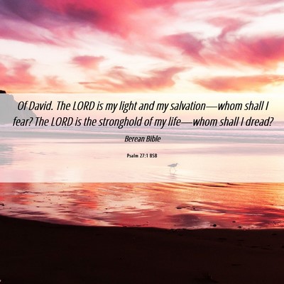 Picture 06 - Psalm 27:1 BSB - Of David. The LORD is my light and my - Bible Verse Picture
