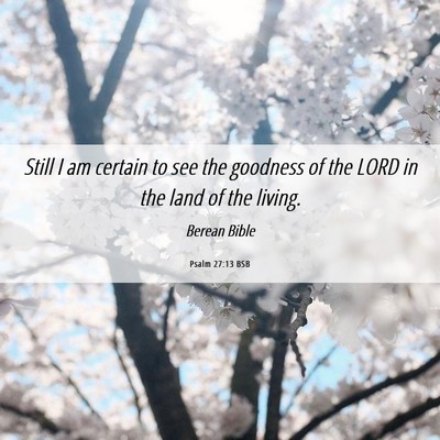 Picture 06 - Psalm 27:13 BSB - Still I am certain to see the goodness of the - Bible Verse Picture