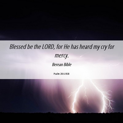 Picture 06 - Psalm 28:6 BSB - Blessed be the LORD, for He has heard my cry for - Bible Verse Picture