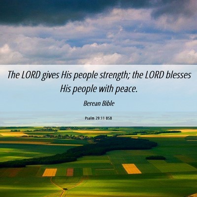 Picture 06 - Psalm 29:11 BSB - The LORD gives His people strength; the LORD - Bible Verse Picture
