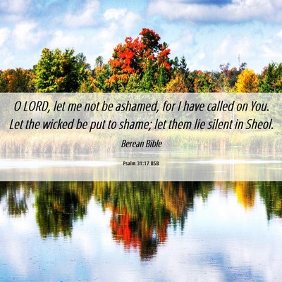 Picture 06 - Psalm 31:17 BSB - O LORD, let me not be ashamed, for I have called - Bible Verse Picture