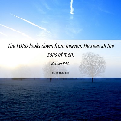 Picture 06 - Psalm 33:13 BSB - The LORD looks down from heaven; He sees all the - Bible Verse Picture