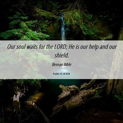 Picture 06 - Psalm 33:20 BSB - Our soul waits for the LORD; He is our help and - Bible Verse Picture