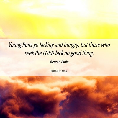 Picture 06 - Psalm 34:10 BSB - Young lions go lacking and hungry, but those who - Bible Verse Picture