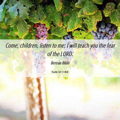 Picture 06 - Psalm 34:11 BSB - Come, children, listen to me; I will teach you - Bible Verse Picture