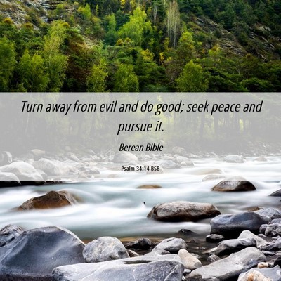 Picture 06 - Psalm 34:14 BSB - Turn away from evil and do good; seek peace and - Bible Verse Picture