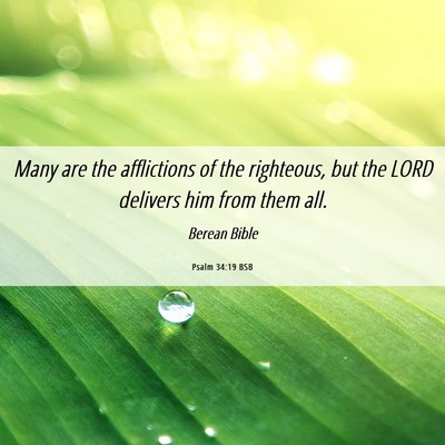 Picture 06 - Psalm 34:19 BSB - Many are the afflictions of the righteous, but - Bible Verse Picture