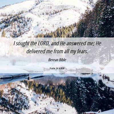 Picture 06 - Psalm 34:4 BSB - I sought the LORD, and He answered me; He - Bible Verse Picture