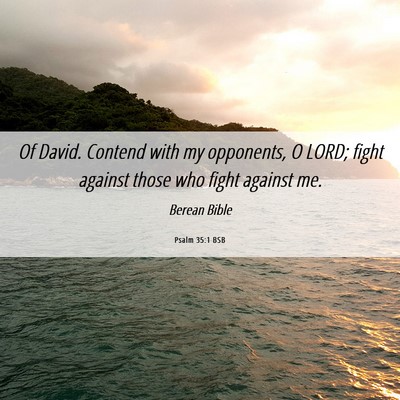 Picture 06 - Psalm 35:1 BSB - Of David. Contend with my opponents, O LORD; - Bible Verse Picture