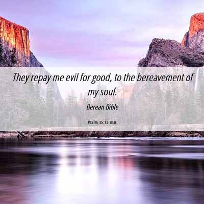 Picture 06 - Psalm 35:12 BSB - They repay me evil for good, to the bereavement - Bible Verse Picture
