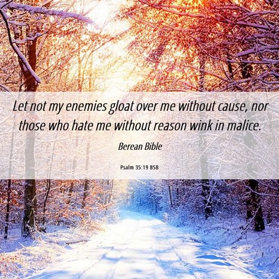 Picture 06 - Psalm 35:19 BSB - Let not my enemies gloat over me without cause, - Bible Verse Picture