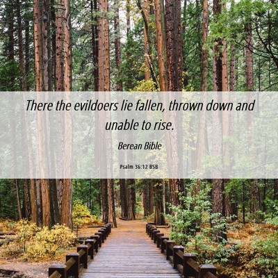 Picture 06 - Psalm 36:12 BSB - There the evildoers lie fallen, thrown down and - Bible Verse Picture