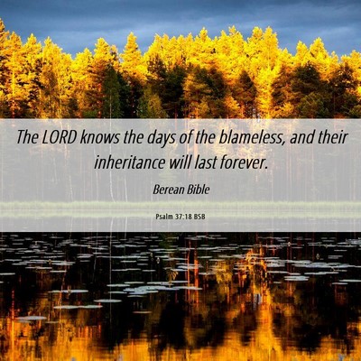 Picture 06 - Psalm 37:18 BSB - The LORD knows the days of the blameless, and - Bible Verse Picture