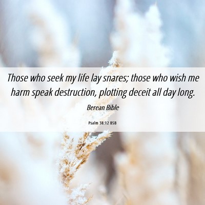 Picture 06 - Psalm 38:12 BSB - Those who seek my life lay snares; those who wish - Bible Verse Picture