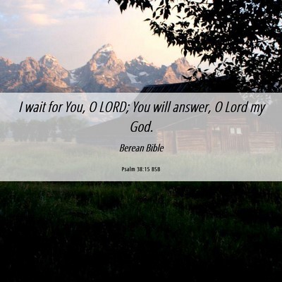 Picture 06 - Psalm 38:15 BSB - I wait for You, O LORD; You will answer, O Lord - Bible Verse Picture