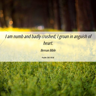 Picture 06 - Psalm 38:8 BSB - I am numb and badly crushed; I groan in anguish - Bible Verse Picture