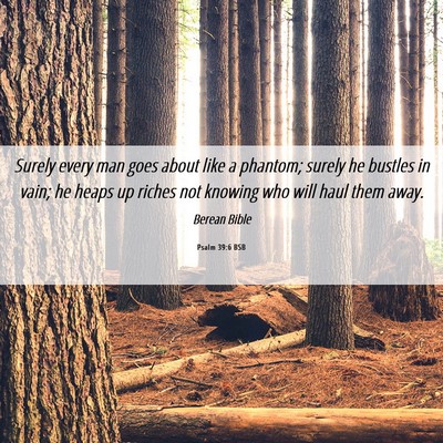 Picture 06 - Psalm 39:6 BSB - Surely every man goes about like a phantom; - Bible Verse Picture