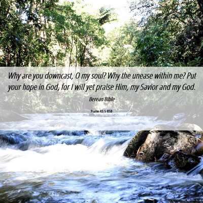 Picture 06 - Psalm 43:5 BSB - Why are you downcast, O my soul? Why the unease - Bible Verse Picture
