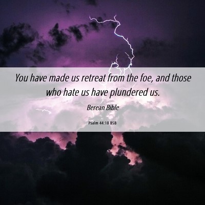Picture 06 - Psalm 44:10 BSB - You have made us retreat from the foe, and those - Bible Verse Picture
