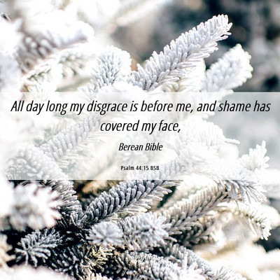 Picture 06 - Psalm 44:15 BSB - All day long my disgrace is before me, and shame - Bible Verse Picture