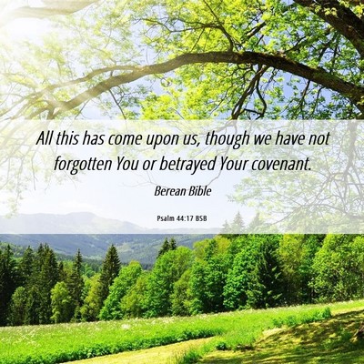 Picture 06 - Psalm 44:17 BSB - All this has come upon us, though we have not - Bible Verse Picture