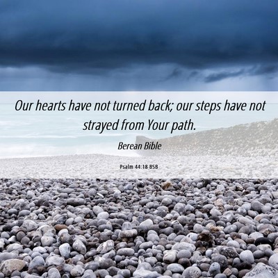 Picture 06 - Psalm 44:18 BSB - Our hearts have not turned back; our steps have - Bible Verse Picture