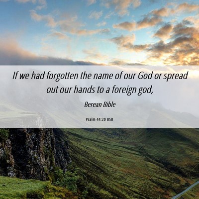 Picture 06 - Psalm 44:20 BSB - If we had forgotten the name of our God or spread - Bible Verse Picture
